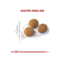 غذای گربه آروما اگزیجنت رویال کنین۲