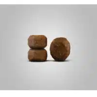 غذای رنال گربه جوسرا۲