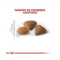 غذای گربه رویال کنین سیور (ساور) اگزیجنت _ Savour Exigent۲