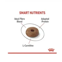 غذای خشک گربه رویال کنین لایت ویت۲