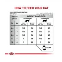 غذای خشک گربه کالم رویال کنین۲