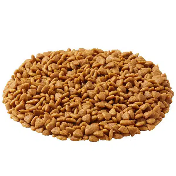 غذای سگ مینی پاپی رویال کنین۲و۴و۸کیلویی
