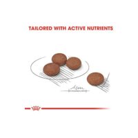 رویال کنین دایجستیو سگ 2