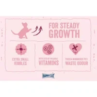 غذای خشک گربه هپی کت کیتن مینکاس3