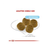 غذای سگ کاردیاک رویال کنین2